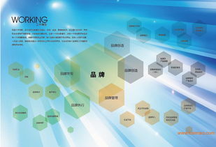 沈阳品牌设计策划全链条服务 从VI、画册到店面装修与互联网营销的整合方案